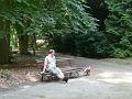 Arboretum 23